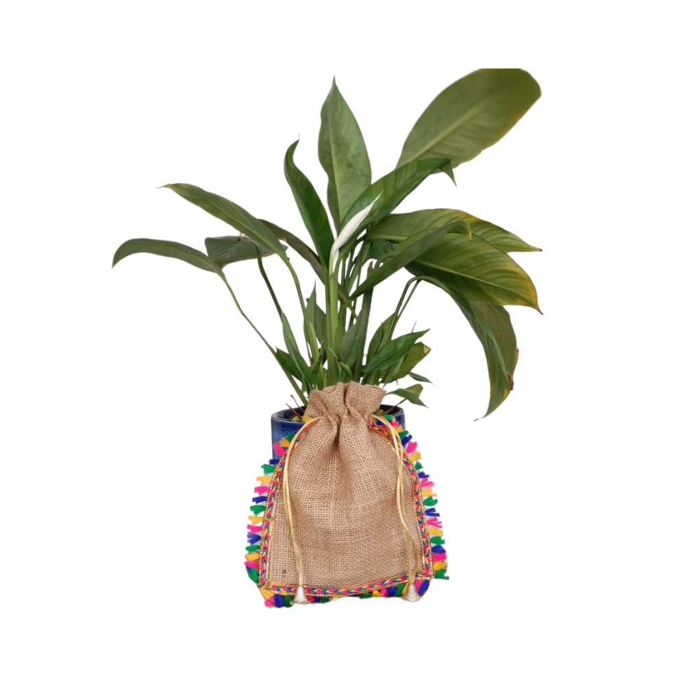 Mahashringar multicolor tassels Design Bag | Jute Bag | Potli