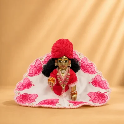 red butterfly laddu gopal summer dress