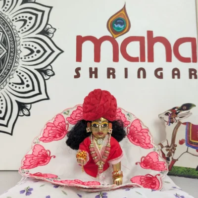 Laddu Gopal Summer Poshak – Red Butterfly Handmade Dress